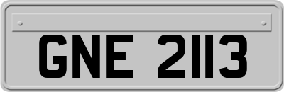 GNE2113