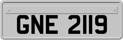 GNE2119