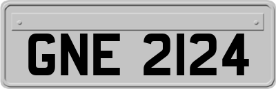 GNE2124