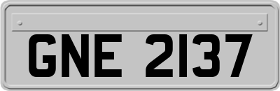 GNE2137