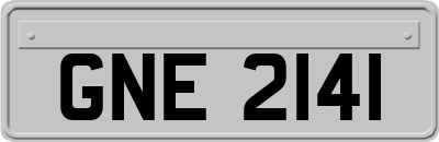 GNE2141