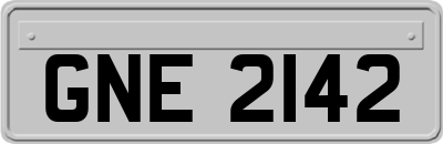 GNE2142