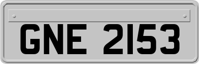 GNE2153