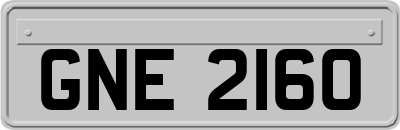GNE2160