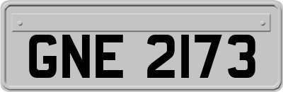 GNE2173