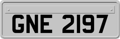 GNE2197