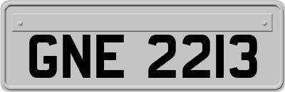 GNE2213