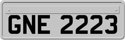 GNE2223