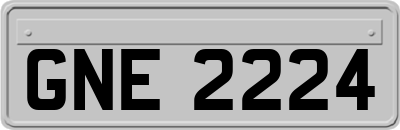 GNE2224