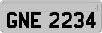 GNE2234