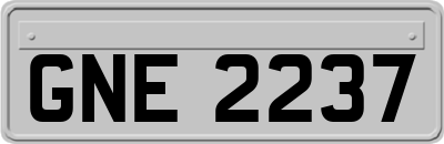 GNE2237