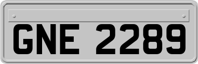 GNE2289