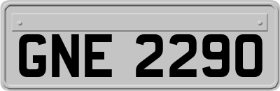GNE2290