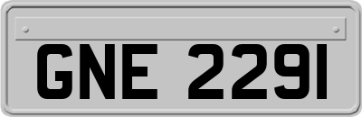 GNE2291