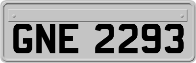 GNE2293