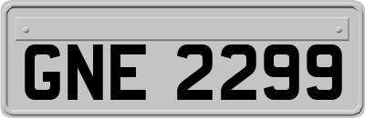 GNE2299