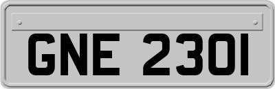 GNE2301