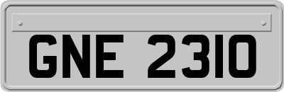 GNE2310