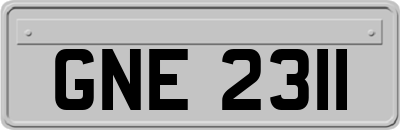 GNE2311