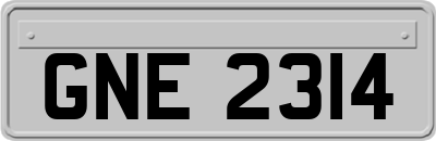 GNE2314