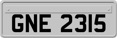 GNE2315
