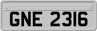 GNE2316