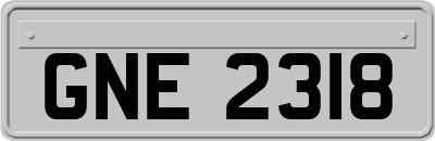 GNE2318