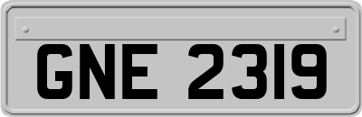 GNE2319