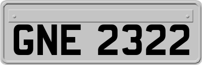 GNE2322