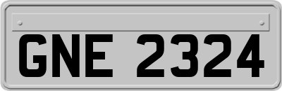 GNE2324