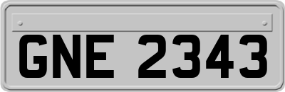 GNE2343