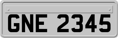 GNE2345