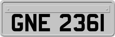 GNE2361