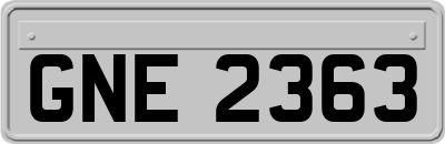 GNE2363