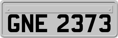 GNE2373