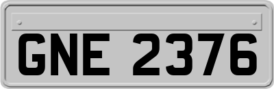 GNE2376