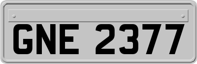GNE2377