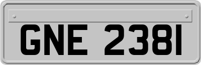 GNE2381