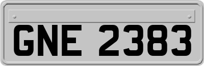 GNE2383