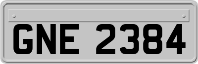 GNE2384
