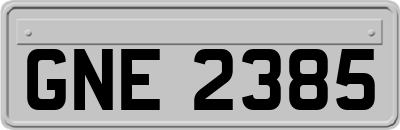 GNE2385