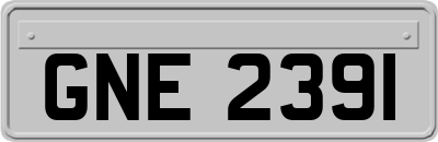 GNE2391