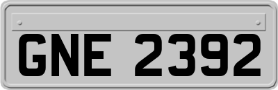 GNE2392