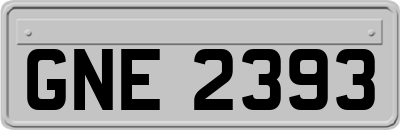 GNE2393