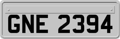 GNE2394