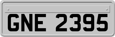 GNE2395