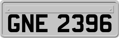 GNE2396