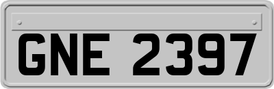 GNE2397