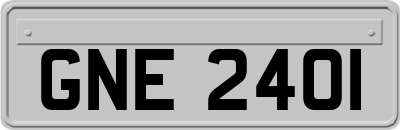 GNE2401