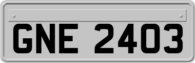 GNE2403